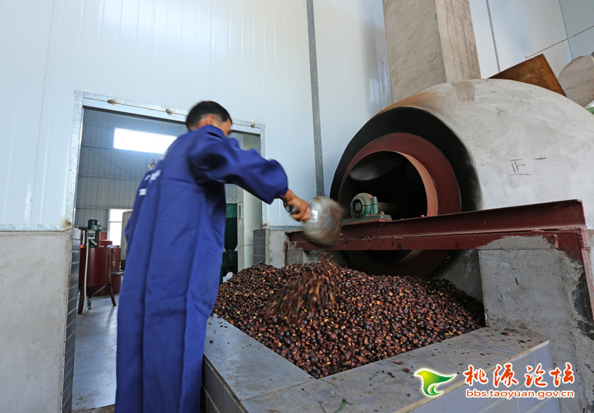 永乐高60net官方网站,油茶种植生产加工销售,植物油种植生产加工销售