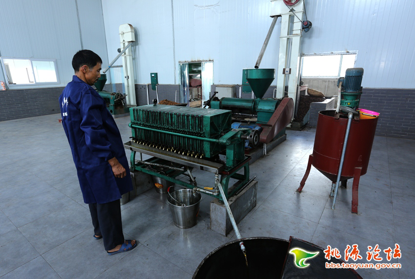 永乐高60net官方网站,油茶种植生产加工销售,植物油种植生产加工销售
