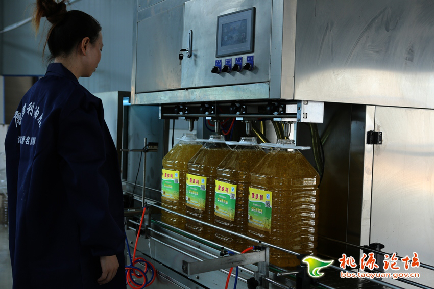 永乐高60net官方网站,油茶种植生产加工销售,植物油种植生产加工销售