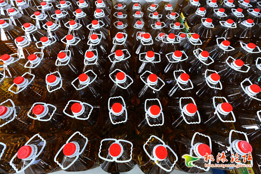 永乐高60net官方网站,油茶种植生产加工销售,植物油种植生产加工销售