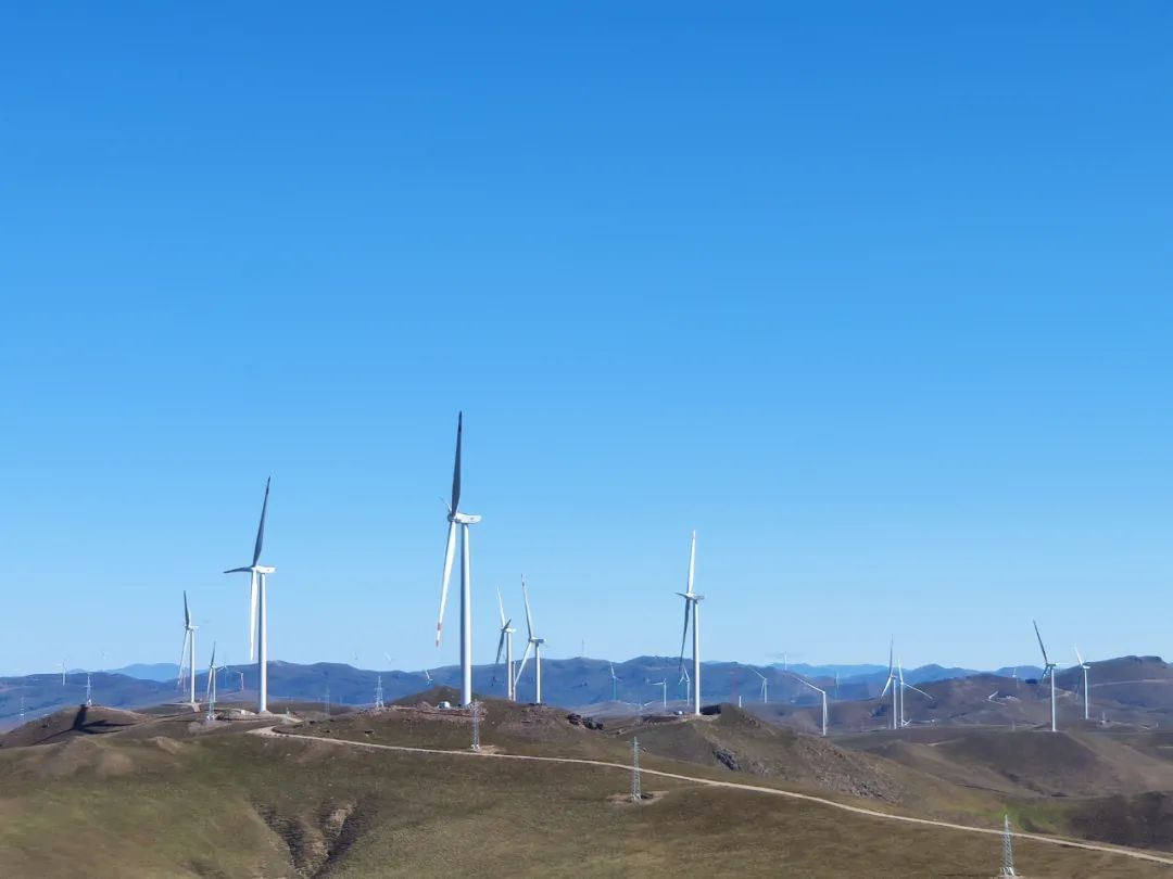 ������Ladbrokes(�й���)�ٷ���վ